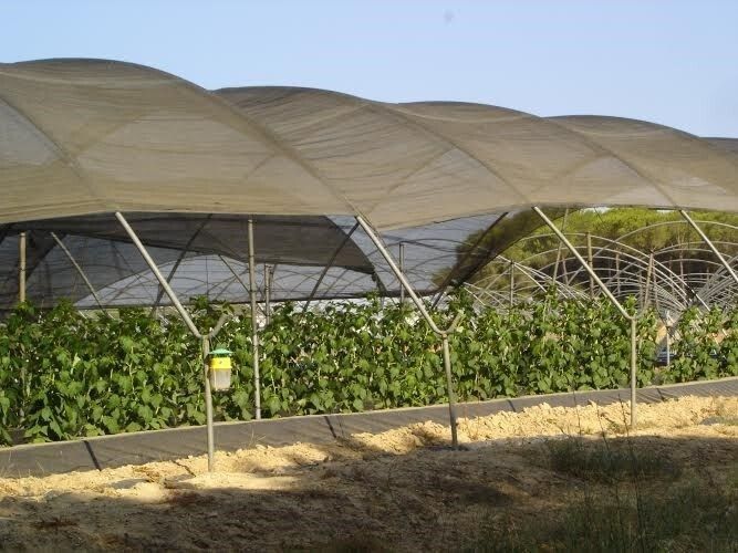 Tensión entre los agricultores por el reparto del agua