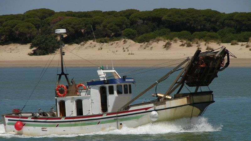 El trabajador herido realizaba faenas en una máquina cribadora de un barco de chirla