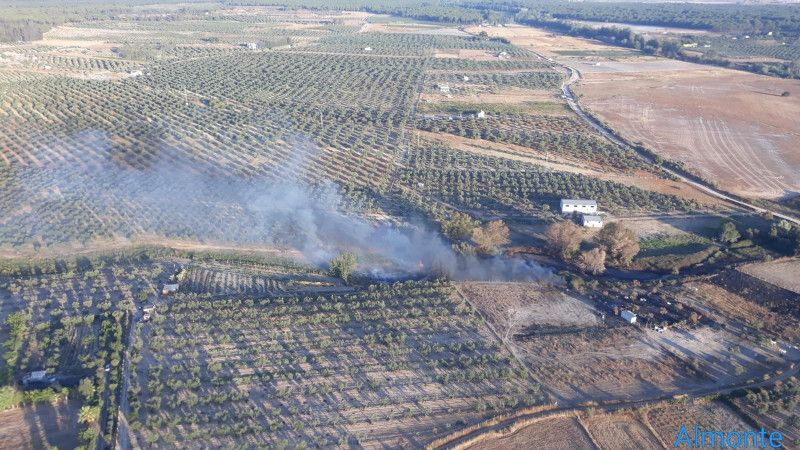 Incendio forestal en el término municipal de Almonte