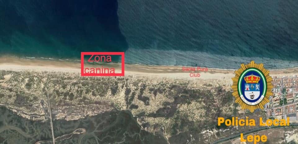 Aclaran cuál es la zona habilitada como 'playa canina' tras las quejas de varios de los clientes de los chiringuitos Santa Pura y Atlántico