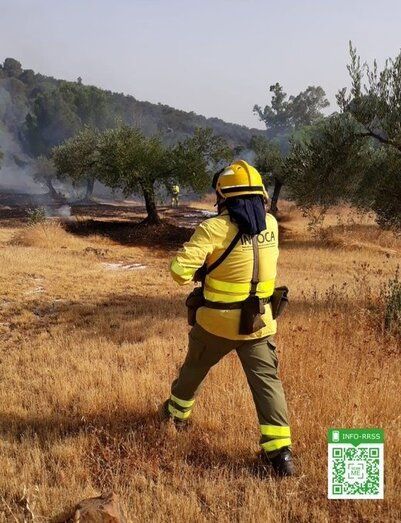 Estabilizado un incendio forestal en Hinojos