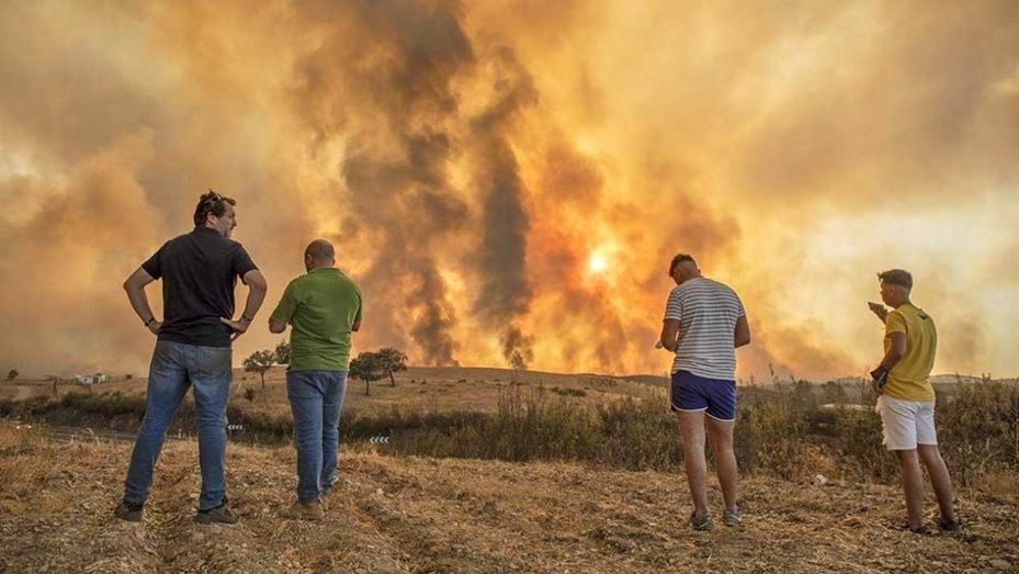 Incendios forestales, patrimonio natural y desidia política