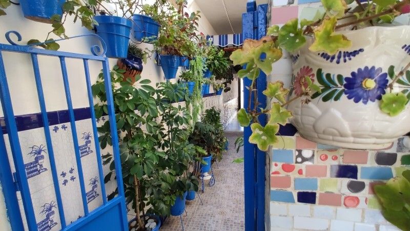 Organizan un concurso de patios virtual en Escacena