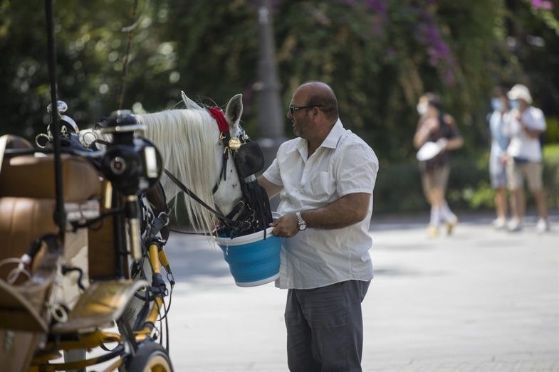 Aviso amarillo en Huelva por temperaturas que rozarán los 40 grados