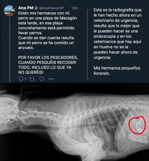 El runrún: Los ‘buenos días’ de un panadero de Punta Umbría