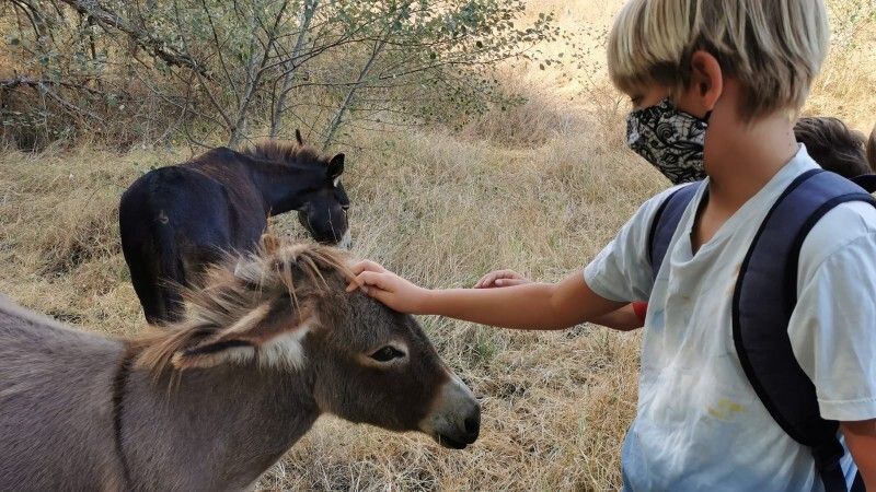 La burrita UME, estrella mediática símbolo del 'Bosque de los Sanitarios del Covid-19'