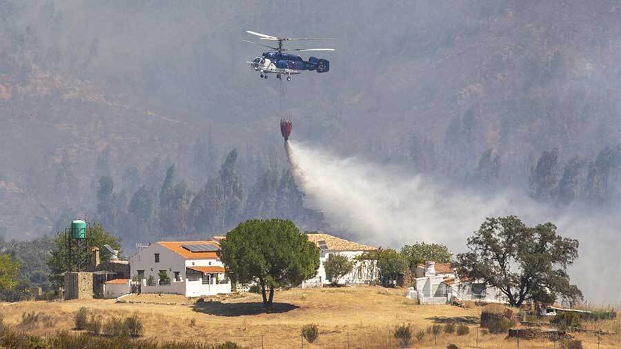Desalojan Los Pinos y Puerto Blanco de Valverde del Camino y Sotiel Coronada de Calañas