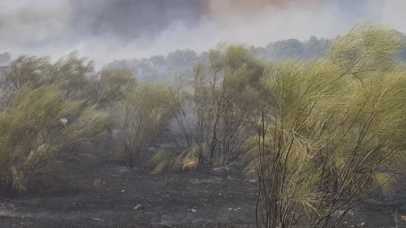 Trabajan en aclarar el origen del incendio de Cumbres Mayores tras su extinción