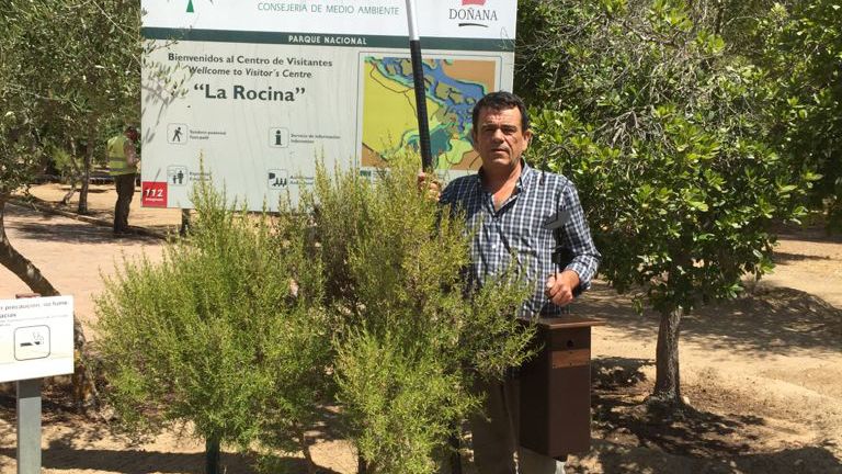 Una treintena de cajas de biodiversidad ya cuelgan en distintas zonas de Doñana