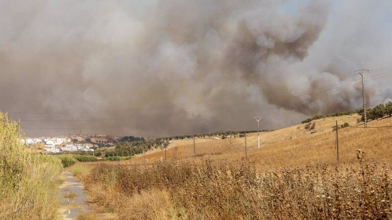 Infoca moviliza medios aéreos tras reactivarse el fuego de Lucena dentro del perímetro