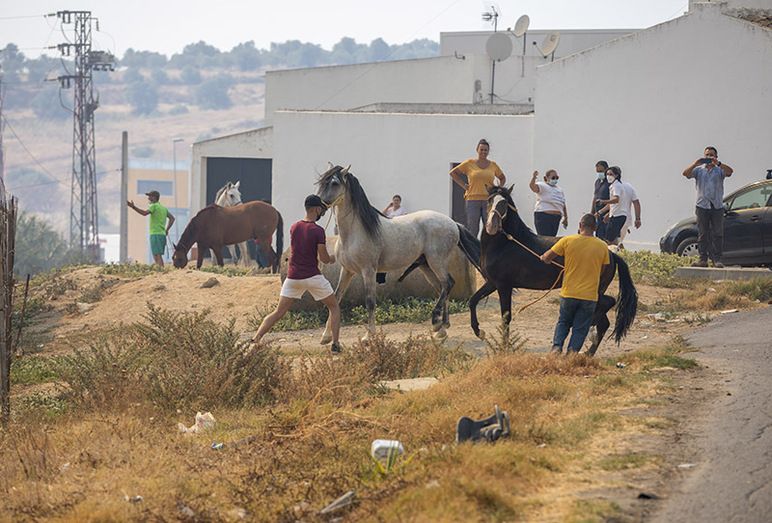 Paralizan los desalojos por el incendio en Lucena: el pueblo no corre peligro