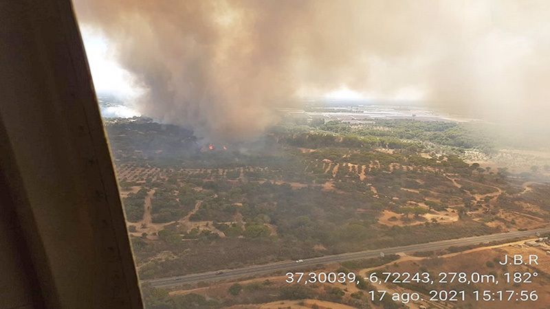 Desalojan el núcleo oriental de Lucena del Puerto por un incendio forestal