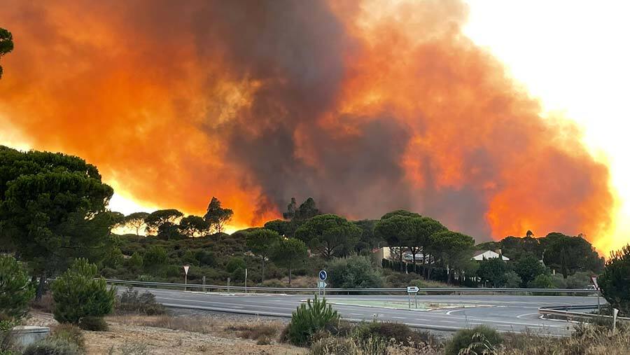 Declarado un aparatoso incendio entre Lucena y Bonares y Lucena
