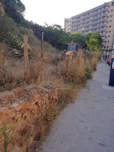 La Junta paraliza el nuevo trabajo de limpieza 'sin autorización' en el cabezo Mundaka