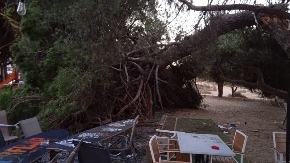 Dado de alta el último de los heridos en la caída de parte de un árbol en un bar de Nuevo Portil