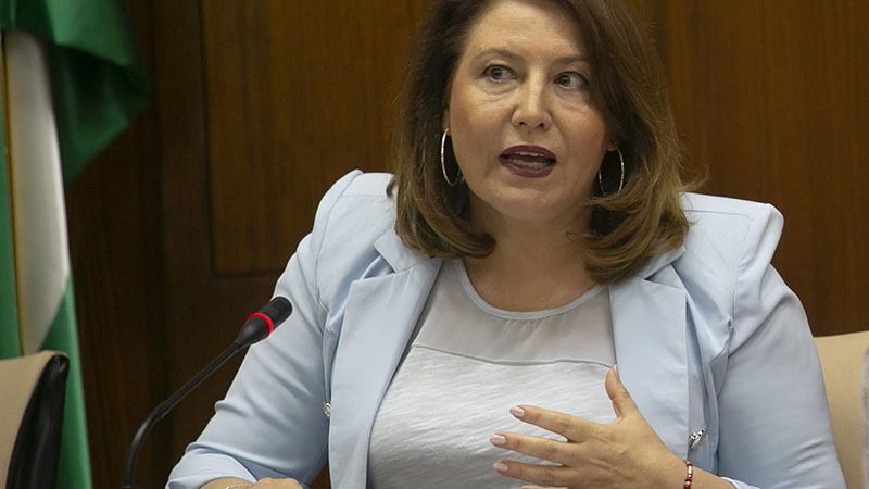 La Junta estudia la posibilidad de retirar algunos tipos de residuos del vertedero de Nerva