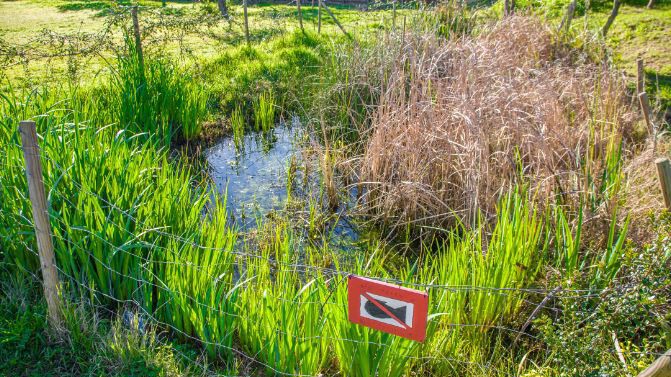 Aguas de Huelva vuelve a colaborar con el Aula de la Naturaleza del Parque Moret
