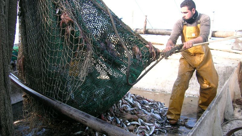 La Junta amplía hasta 30 días las ayudas por la parada biológica en el sector de la pesca de arrastre del Golfo de Cádiz