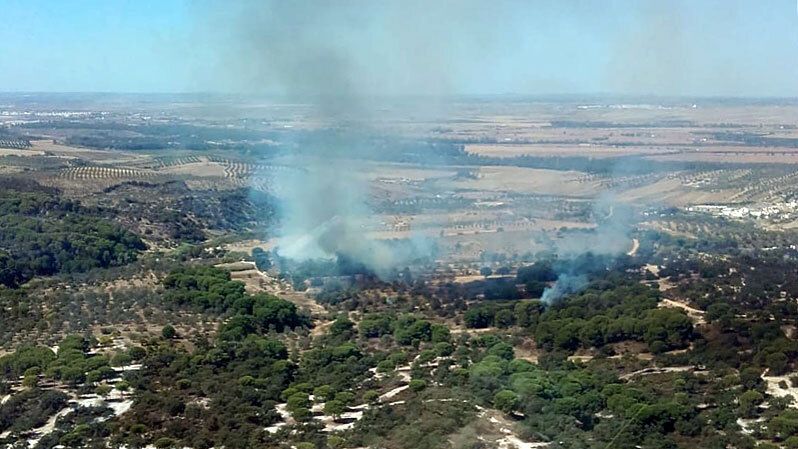 Controlado también el primer incendio forestal de Lucena del Puerto