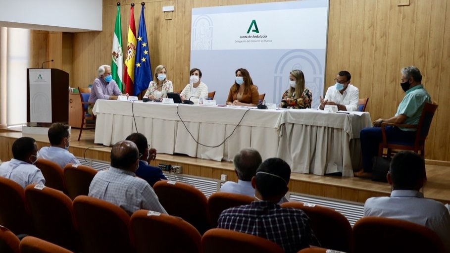 La Junta activará un plan para llevar a cabo una recuperación ambiental “de vital importancia” tras el incendio de Almonaster