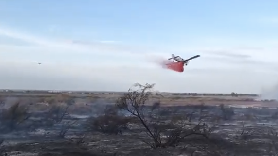 Efectivos del Infoca trabajan en la extinción de un incendio en Moguer
