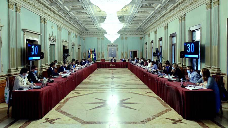 El pleno del Ayuntamiento aprueba reclamar a la Junta medidas urgentes de apoyo al comercio