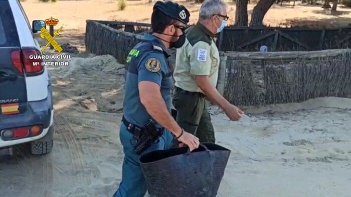 Intervienen tres galápagos leprosos en la aldea del Rocío