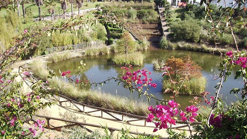 El Parque Botánico Celestino Mutis supera las 3.600 visitas este verano
