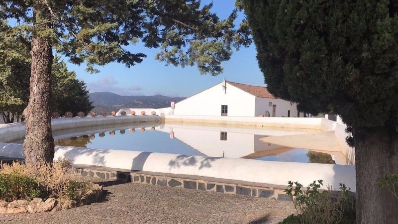 La mitad de los municipios de Huelva se encuentran libres de Covid y cinco superan la tasa de 250