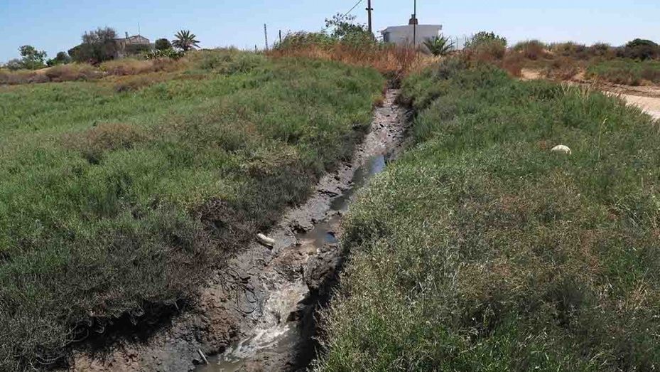 Vecinos de Cartaya se plantean movilizarse ante el hedor a aguas fecales que tienen que soportar