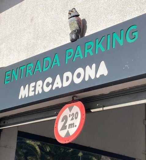El runrún: Otra vez sin citas médicas