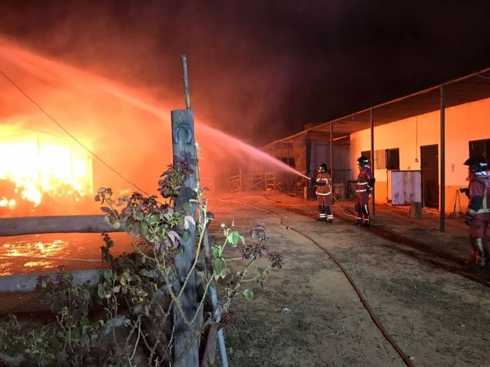 Sofocan un incendio en un pajar de Almonte logrando que los animales que estaban en las cuadras salieran ilesos