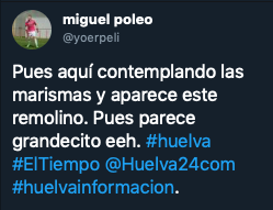 El runrún: 'Tetada pública' en la plaza de las Monjas