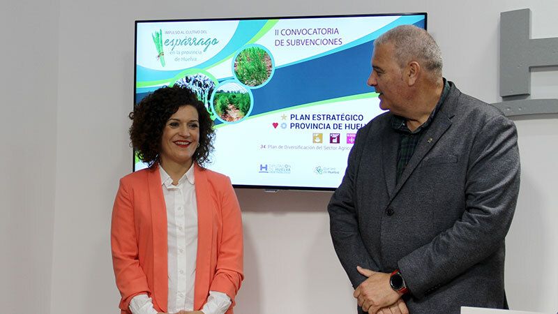 La Diputación presentó la segunda convocatoria de subvenciones para el cultivo del espárragos