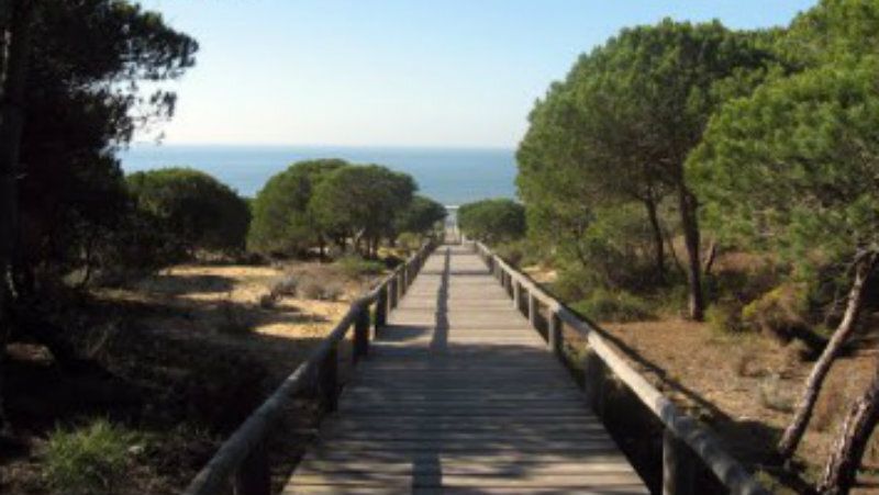 Voluntarios registrarán la procedencia de la basura marina que llega a Doñana