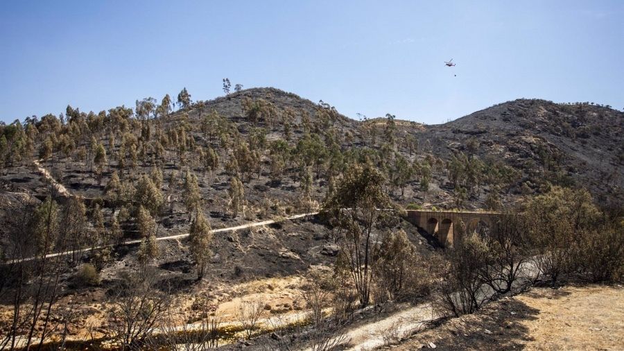 Se necesitan 25 peones forestales para actuar en la zona afectada por el incendio de Almonaster