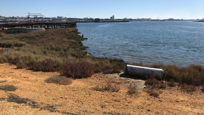 Un paseo histórico a través del río Odiel