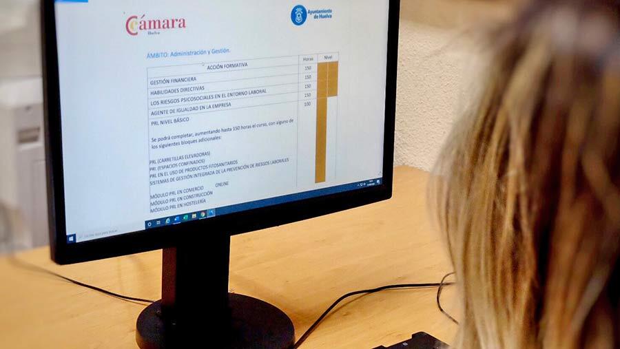 La Cámara de Comercio otorga ayudas de hasta 4.900 euros a empresas del sector agroindustrial