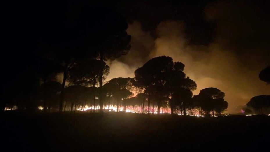 Almonte solicita 86.000 euros en ayudas tras el incendio de julio y lamenta la pérdida de valores naturales