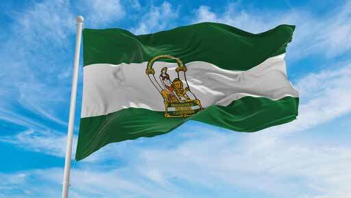 ¿Andalucismo de futuro?
