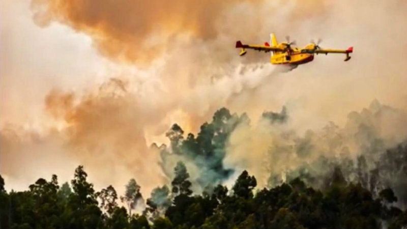 El fuego ha quemado este año un 45% más de superficie que en 2018