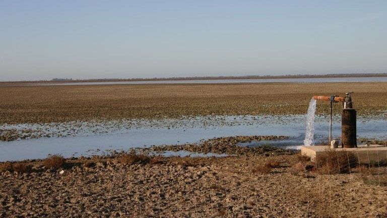 Ecologistas en acción considera que deben ser desestimadas las solicitudes de incremento de agua pública para riego en el ámbito de Doñana