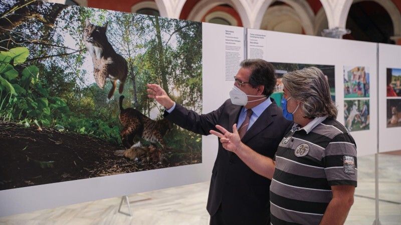 La Fundación Cajasol ajusta los horarios de sus exposiciones en Huelva hasta las 18.00