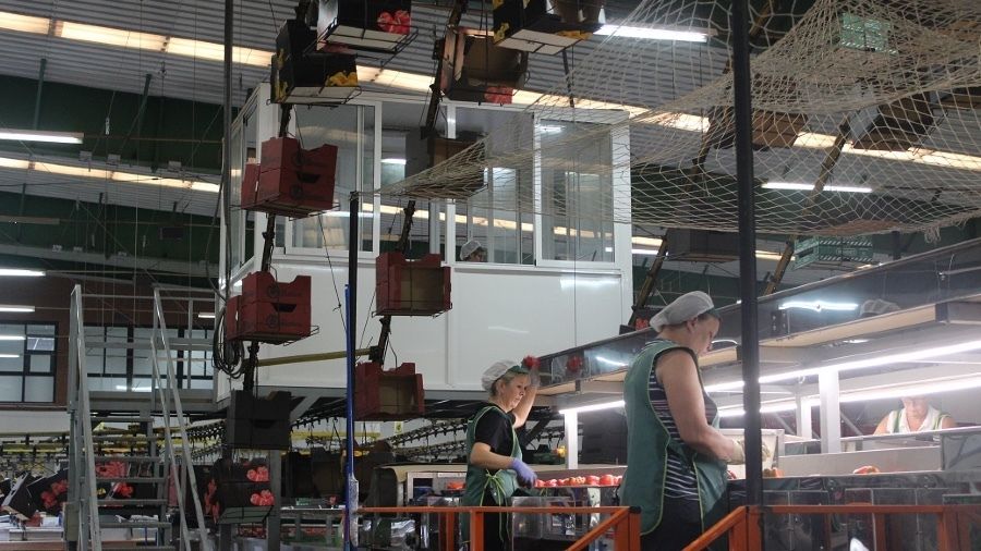 La Junta amplía el plazo para optar a las ayudas a la industria agroalimentaria