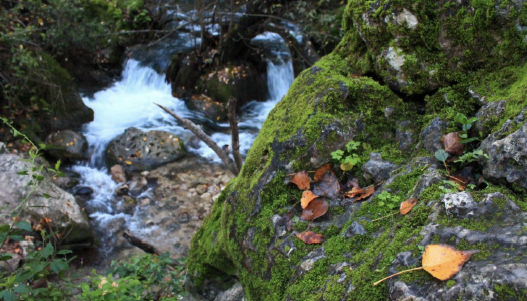 10 rutas de senderismo ideales para disfrutar del otoño en Andalucía