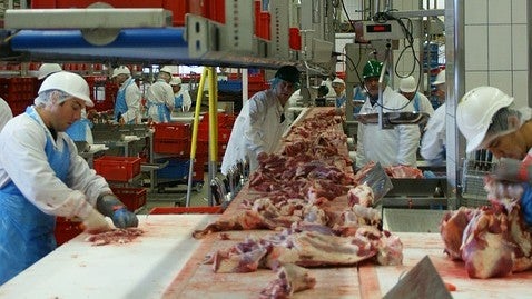 Un matadero de Jabugo oferta diez puestos de trabajo