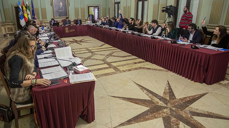 Declaraciones institucionales en el pleno: sí al Plan Nacional de Alzheimer, no con los migrantes