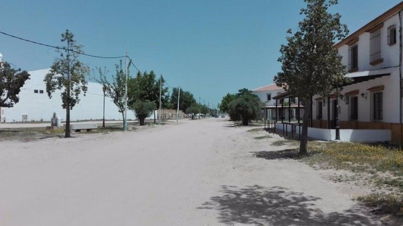 Desestiman el recurso de los condenados por un delito de maltrato animal durante la romería del Rocío