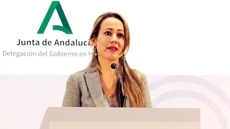 La Junta reitera que 'trabaja' para que Huelva tenga un Materno Infantil 'barajando distintas posibilidades'