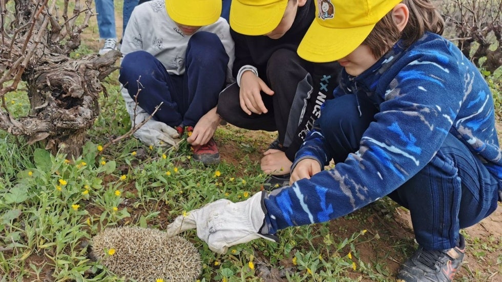 Un grupo de alumnos de Chucena liberan un grupo de erizos rescatados tras el incendio de Almonte del pasado verano